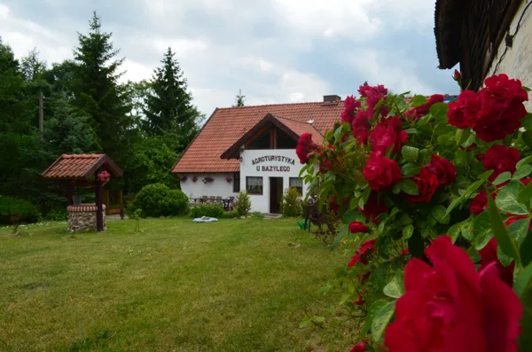 podwórko